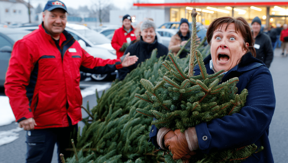 Lidl verschenkt Weihnachtsbäume: So klappt es (vielleicht) mit der Gratis-Nordmanntanne
