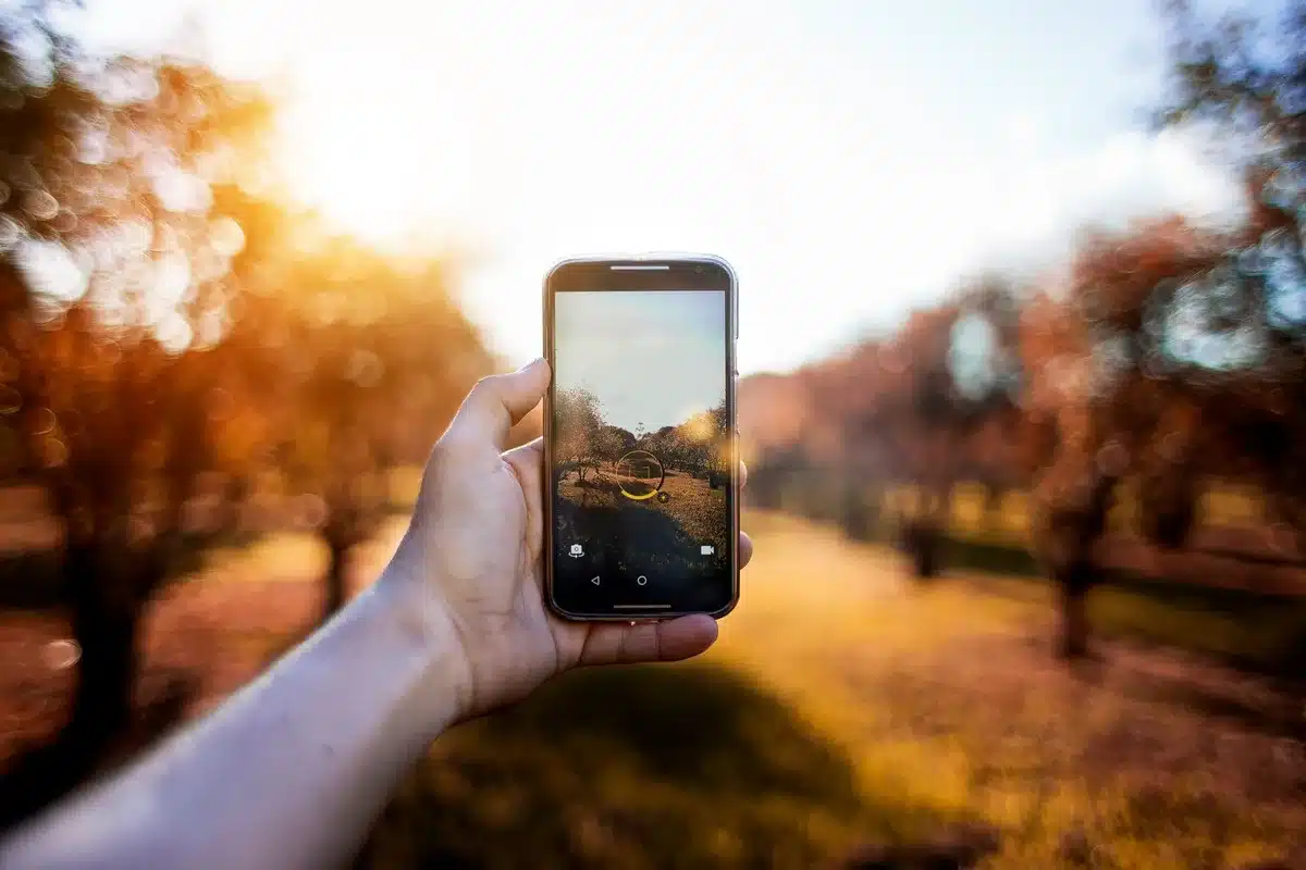 Smartphone-Display mit hoher Helligkeit in direktem Sonnenlicht lesbar