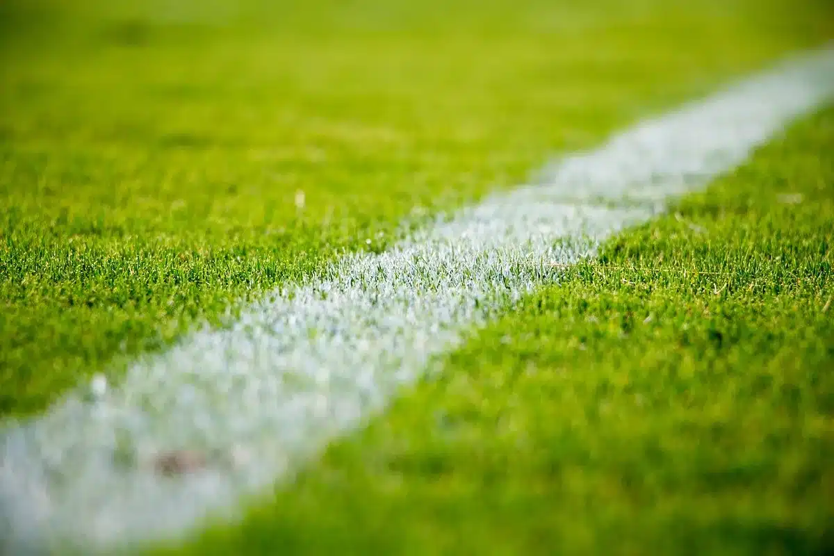 Person liest Live-Ticker auf Smartphone w&auml;hrend Stadionatmosph&auml;re