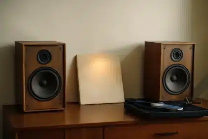 100 Jahre alt: Neue Vintage-Lautsprecher begeistern Musikliebhaber