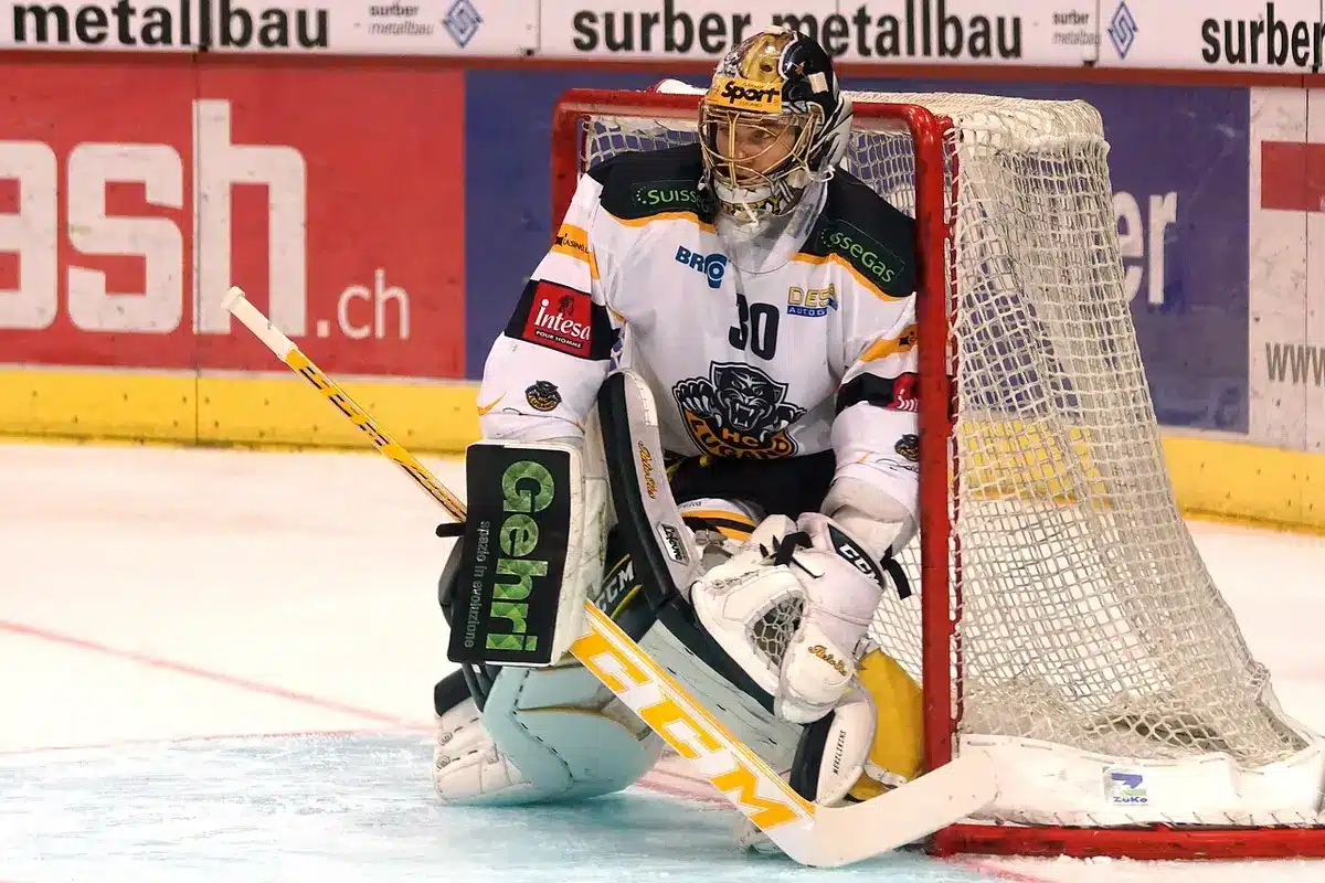 Eishockeyspieler feiern Tor auf dem Eis